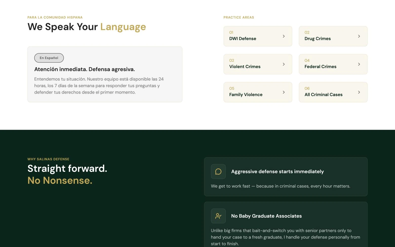 We Speak Your Language section and practice area tiles